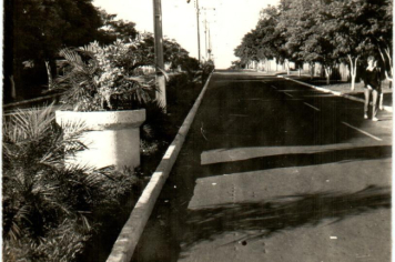 Foto - Projeto Guaritá