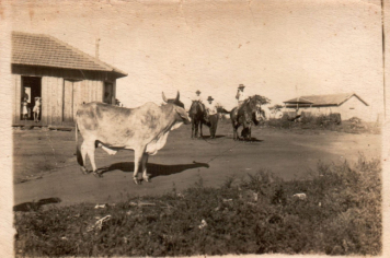 Foto - Projeto Guaritá