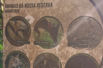 Foto - No dia 16/07/25 as crianças e adolescentes do SCFV realizaram um passeio ao Jardim Botânico!