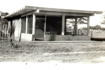 Foto - Projeto Guaritá