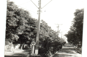 Foto - Projeto Guaritá