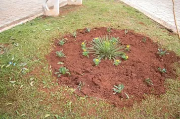 Revitalização da Praça Miguel Calmon