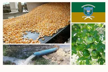 Relatório da Secretaria de Agricultura e Meio Ambiente referente ao mês de junho de 2021
