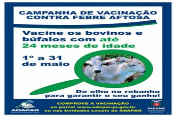 Campanha de Vacinação contra a Febre Aftosa