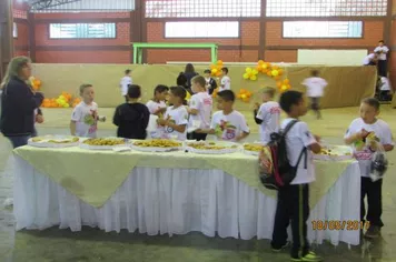 FORMATURA PROERD 2017