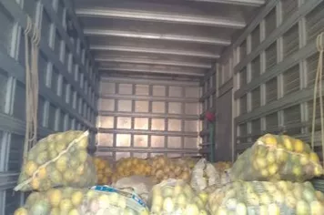 Visitas e Assistência Técnica| Agronômicas