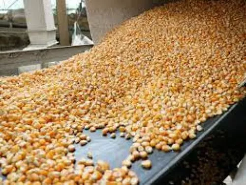 Relatório da Secretaria de Agricultura e Meio Ambiente referente ao mês de junho de 2021