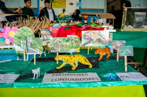 Exposição de Atividades - Escola Sagrado Coração de Jesus