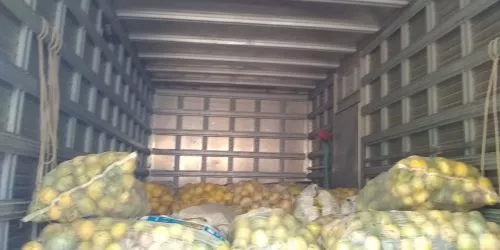 Visitas e Assistência Técnica| Agronômicas