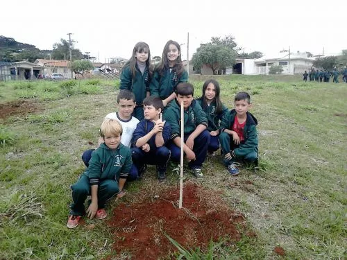 Arborização da Praça das Flores
